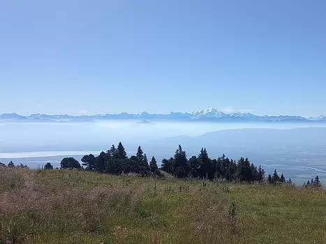 2022-07 Jura Détail sortie