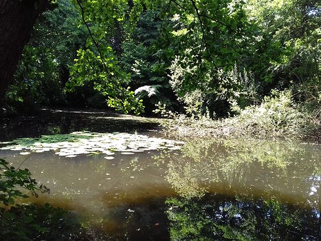 2022-07 Saint-Cyr Jocelyne D, détail sortie