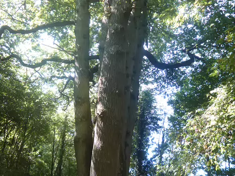 2022-08 Dourdan Dominique F, détail sortie