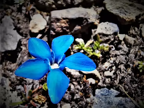 2022-08 Val d'Aoste Détail sortie