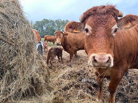 2022-10 Creuse FLorence LP, détail sortie