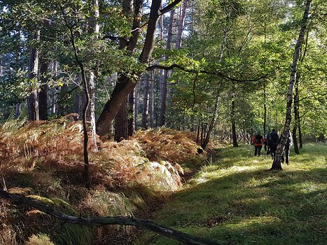 2022-10 RDV automne en RC Xavier G, détail sortie