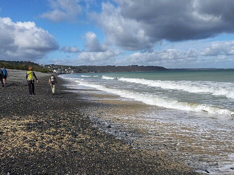 2022-10 Saint Brieuc Détail sortie