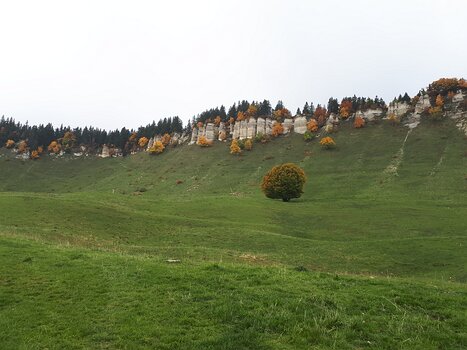 2022-10 Vercors Jean-Paul N, détail sortie