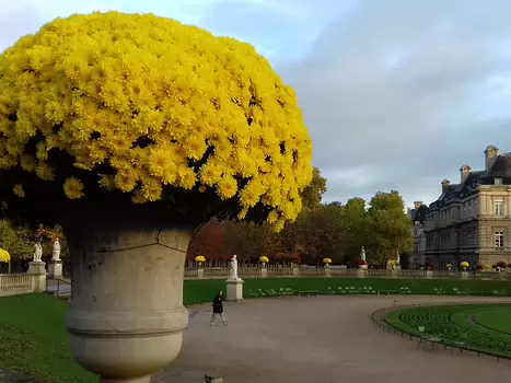 2022-11 Luxembourg-Montparnasse Jocelyne D, détail sortie