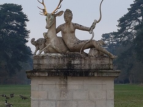 2022-12 Rambouillet Xavier G, détail sortie