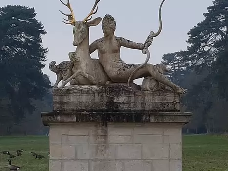 2022-12 Rambouillet Xavier G, détail sortie