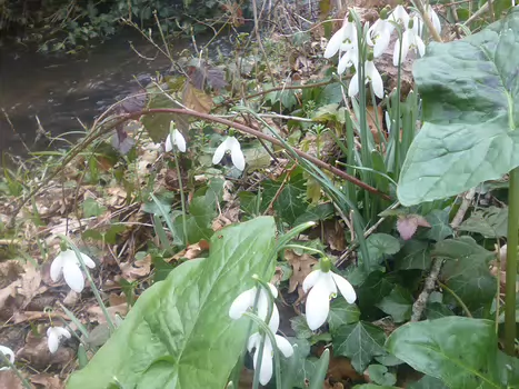 2023-02 Egly Dominique F, détail sortie