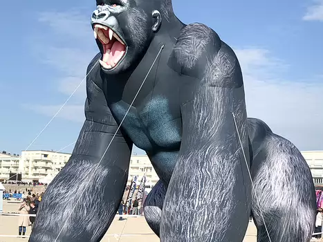 2023-04 Berck Claire B, Catherine F, Zhengnan G, Xavier L, détail sortie