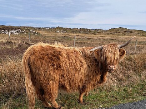 2023-04 Ecosse Détail sortie