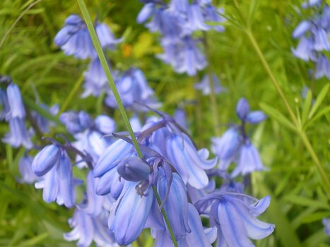 2023-04 Moret Dominique F, détail sortie