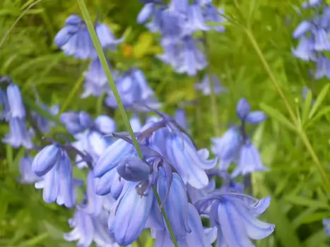 2023-04 Moret Dominique F, détail sortie