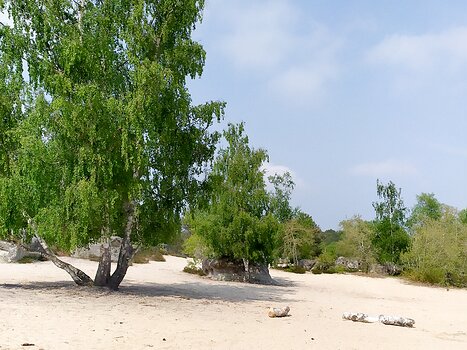 2023-05 25 bosses Alice F, Martine S, Xavier L, détail sortie