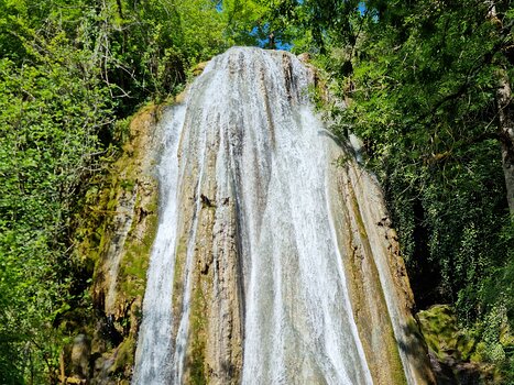 2023-05 Tarn-et-Garonne Bernard F, détail sortie