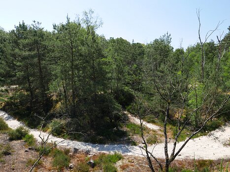 2023-06 Dannemois Baptiste M, détail sortie