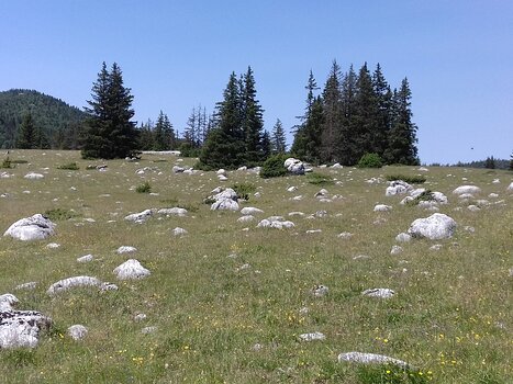 2023-06 Vercors Jocelyne D, détail sortie