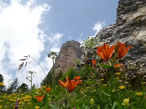 2023-07 Dolomites Sylvie F, détail sortie