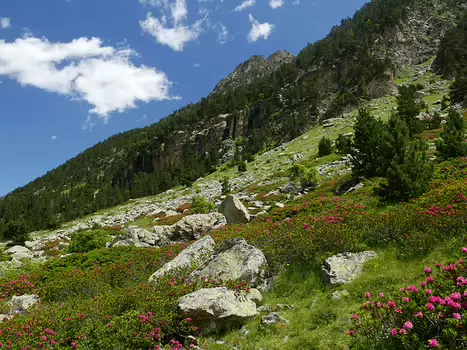 2023-07 Petit Vignemale version Baptiste Baptiste M, Christine D, détail sortie