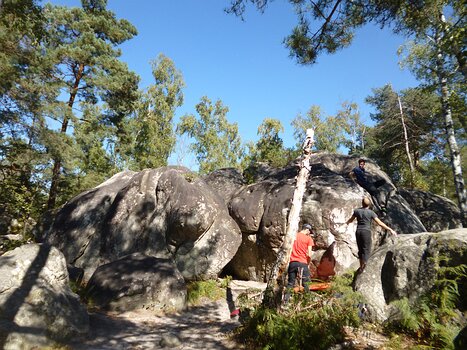 2023-09 Fontainebleau Dominique F, détail sortie