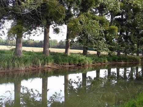 2023-09 Ourcq Jocelyne D, détail sortie