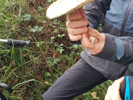 2023-10 Épernon Océane C, Philippe D, Xavier G, détail sortie