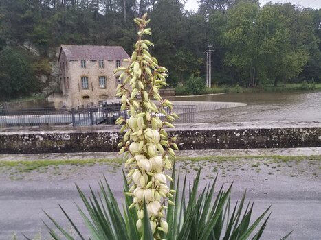 2023-10 Mayenne Chantal F, détail sortie