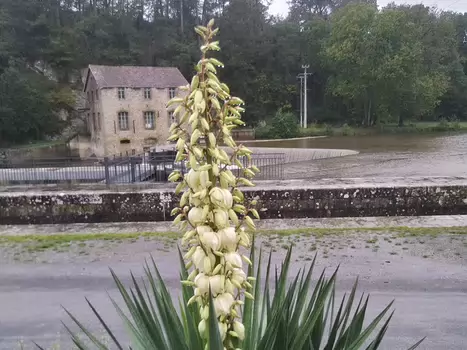 2023-10 Mayenne Chantal F, détail sortie