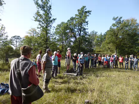 2023-10 RDV d'Automne Dominique F, détail sortie