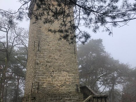 2023-12 Fontainebleau Isabelle T, détail sortie