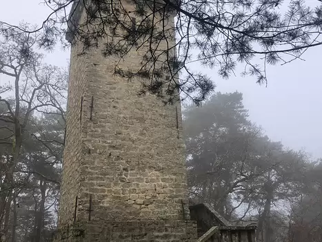 2023-12 Fontainebleau Isabelle T, détail sortie