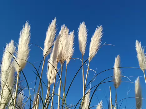 2023-12 Seine Jocelyne D, détail sortie