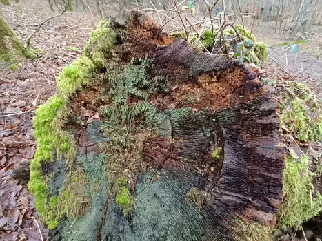 2024-01 Le Perray-en-Yvelines Philippe D, détail sortie