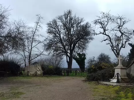 2024-02 Coignières Jocelyne D, détail sortie