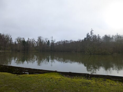 2024-02 Dourdan Dominique F, détail sortie