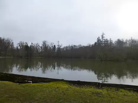 2024-02 Dourdan Dominique F, détail sortie