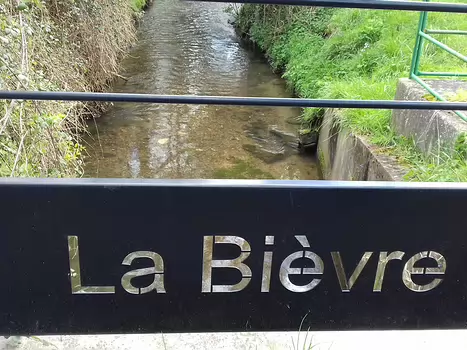 2024-03 Bièvre Jocelyne D, détail sortie