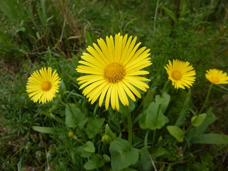 2024-04 Hurepoix Dominique F, détail sortie