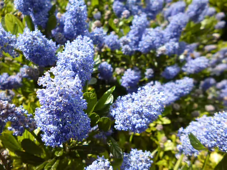 2024-05 Meaux Dominique F, détail sortie