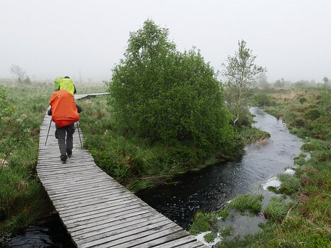 2024-05 Wallonie Détail sortie