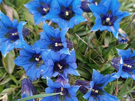 2024-06 Vercors XL Xavier L, détail sortie