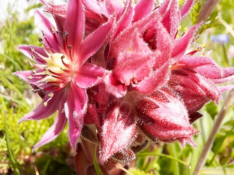 2024-07 Suisse Florence & Pierre-Yves C, Nathalie M, Sylvie F, Joël R, Xavier L, détail sortie