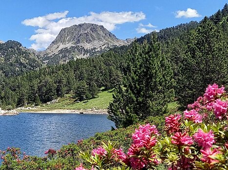 2024-07 Tour des Perics Hélène B, détail sortie