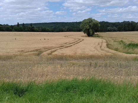 2024-07 Trilport Jocelyne D, détail sortie