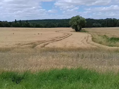 2024-07 Trilport Jocelyne D, détail sortie