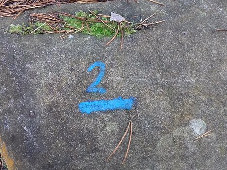 2024-10 Fontainebleau Jocelyne D, détail sortie