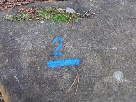 2024-10 Fontainebleau Jocelyne D, détail sortie