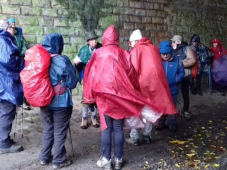 2024-12 Gif-sur-Yvette Jocelyne D, détail sortie