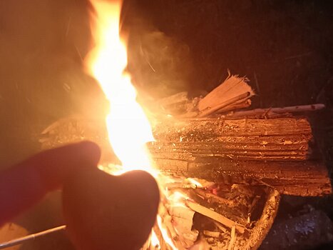 2025-02 Rambouillet Claudie G, Isabelle P, Marie C, Philippe D, Cédric B, Cédric L, Xavier G, détail sortie