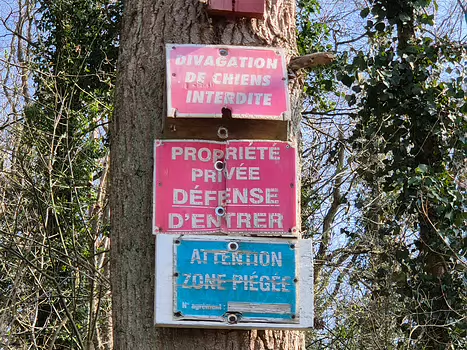 2025-03 Vexin en hiver Laurent T, détail sortie