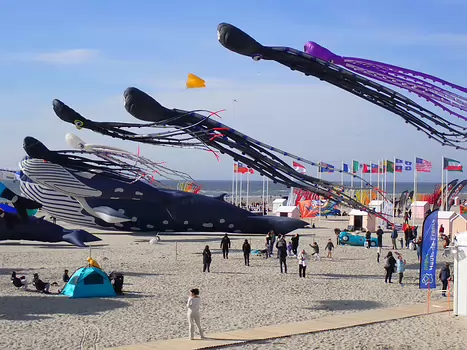 2025-04 Côte d'Opale Xavier L, détail sortie